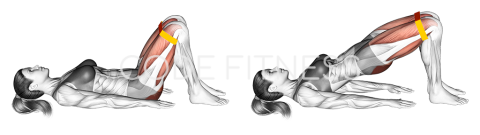 Глутеус мост с ластик