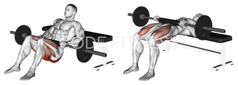 Хип Тръст с щанга