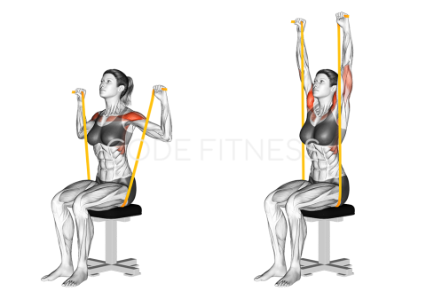 Раменни преси с ластик от седеж