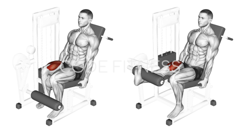 Лег екстензии с един крак