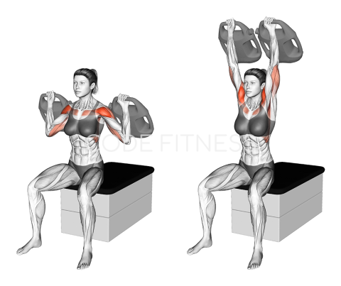 Раменни преси с тежест (bottle) от седеж