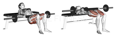 Хип Тръст с щанга