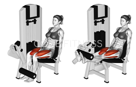 Лег екстензии