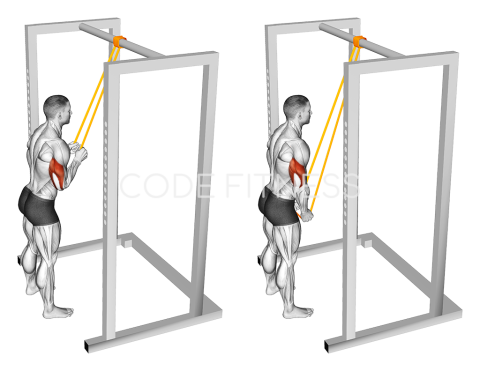 Натискане надолу за трицепс с ластик