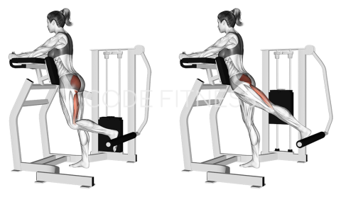 Глутеус ритник на машина