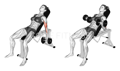 Dumbbell Incline Curl