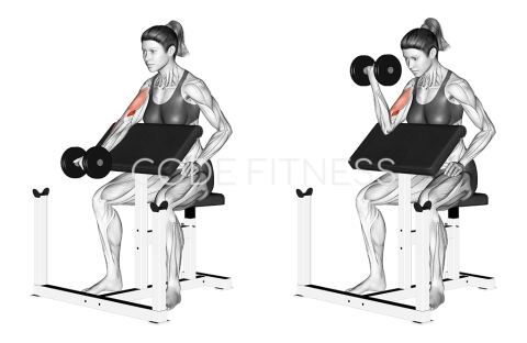 Dumbbell Preacher Curl