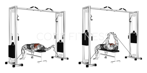Cable Flat-Bench Fly