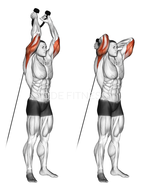 Cable Overhead Triceps Extension (rope attachment)