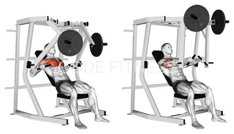 Machine Decline Press
