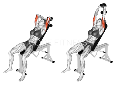 Dumbbell Incline Two Arm Extension