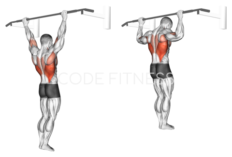 Behind-The-Neck Pull-Up
