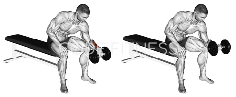 Dumbbell Reverse Wrist Curl