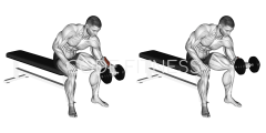 Dumbbell Reverse Wrist Curl