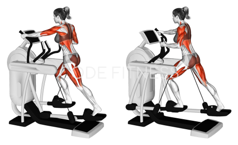 Elliptical Machine Walk