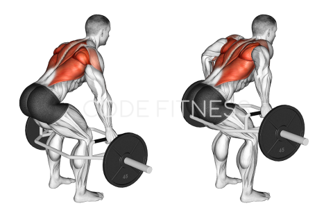 Trap Bar Bent Over Row