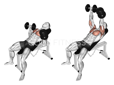 Dumbbell Incline Press