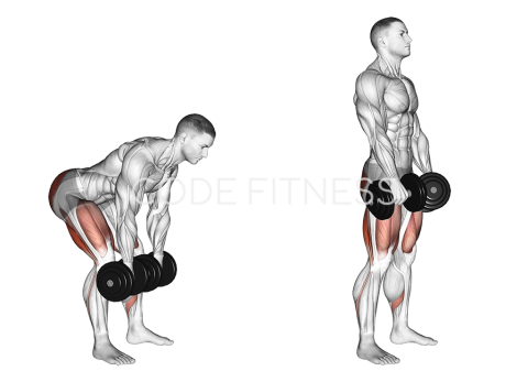 Dumbbell Stiff-Legged Deadlift