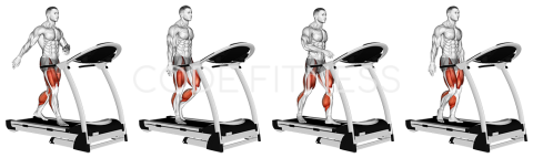 Walking on Treadmill