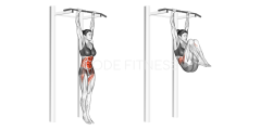 Hanging Leg Raise