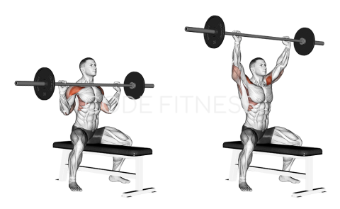 Barbell Shoulder Press