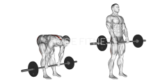 Barbell Stiff-Legged Deadlift