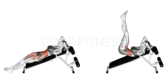 Incline Leg Raise