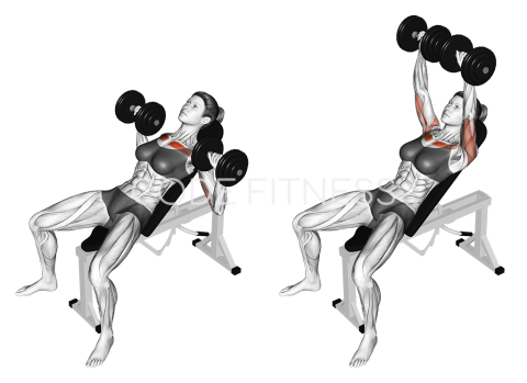 Dumbbell Incline Press