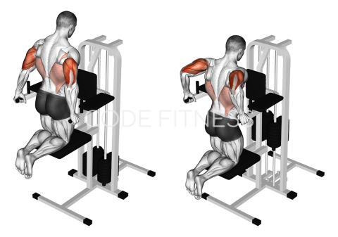 Machine Dip (ticeps)