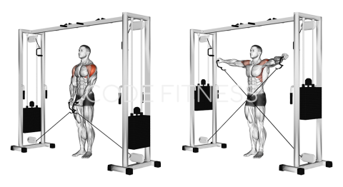 Cable Lateral Raise