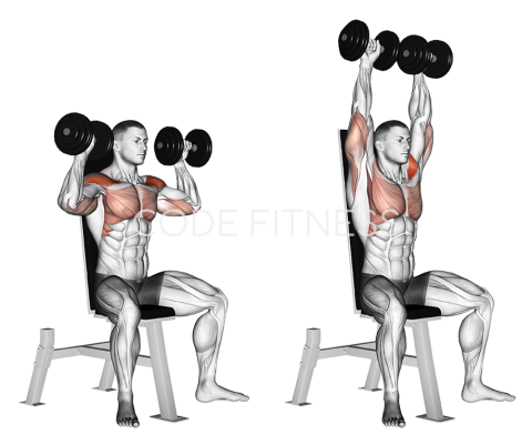 Dumbbell Shoulder Press