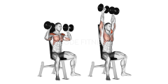 Dumbbell Shoulder Press