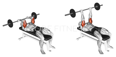 Reverse Grip Lying Triceps Extension