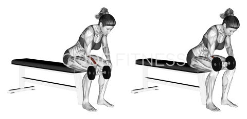 Dumbbell Wrist Curl