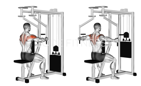 Machine Rear Deltoid Fly
