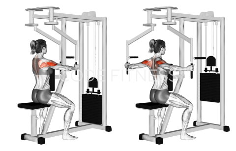 Machine Rear Deltoid Fly