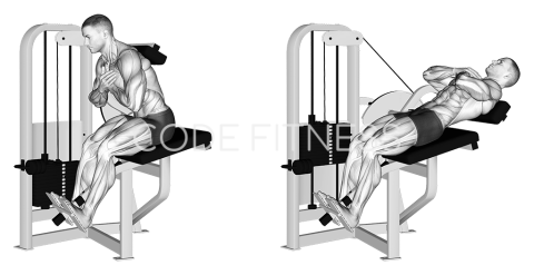 Machine Lumbar Extension