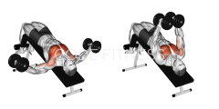 Dumbbell Decline Fly