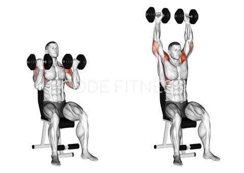 Dumbbell Arnold Press