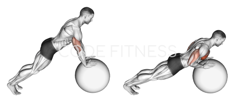 Push up (on stability ball)