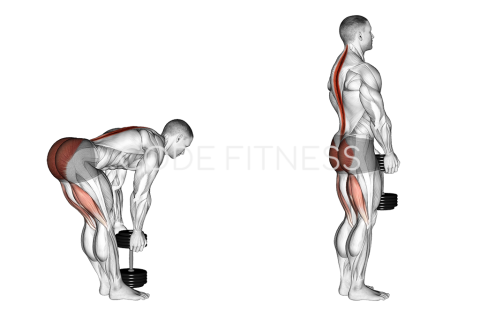 Dumbbell Stiff Leg Deadlift