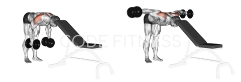 Head-Supported Dumbbell Raise