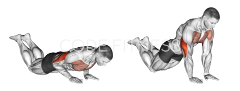 Close grip Push up (on knees)