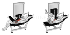 Hip Flexor Machine