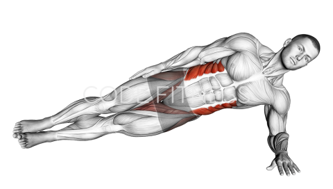 Side Plank