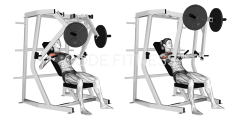 Machine Decline Press