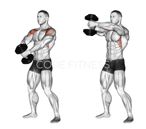 Single Dumbbell Front Raise