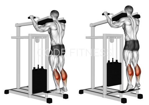 Standing Calf Raise