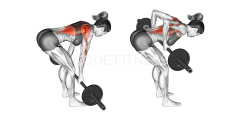 Barbell Reverse Grip Bent over Row