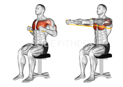 Resistance Band Seated Chest Press